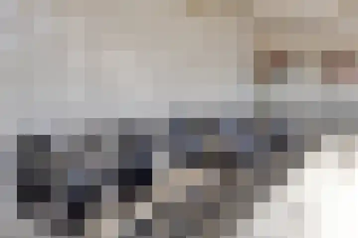 Hugo de Grootplein 75 Eindhoven thumbnail 12