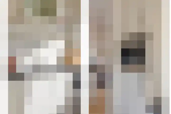 Hugo de Grootplein 75 Eindhoven thumbnail 13