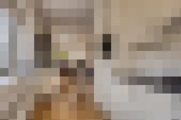 Hugo de Grootplein 75 Eindhoven thumbnail 14