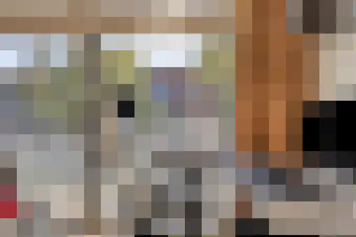 Hugo de Grootplein 75 Eindhoven thumbnail 20