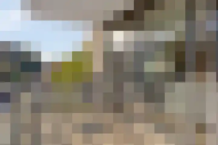 Hugo de Grootplein 75 Eindhoven thumbnail 25