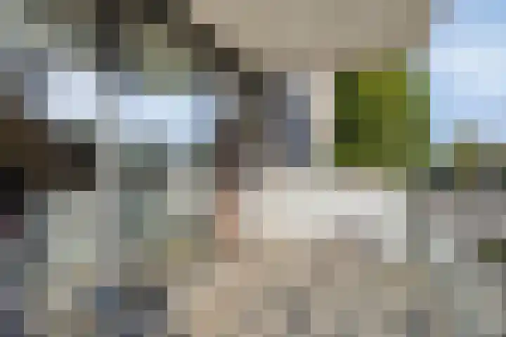 Hugo de Grootplein 75 Eindhoven thumbnail 26