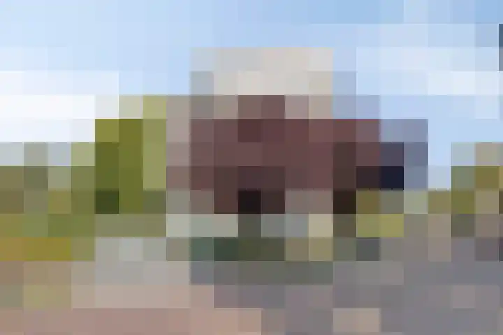 Hugo de Grootplein 75 Eindhoven thumbnail 33