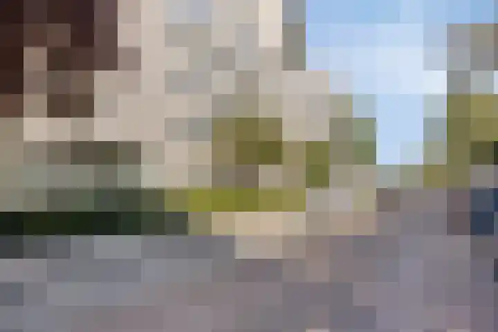 Hugo de Grootplein 75 Eindhoven thumbnail 34
