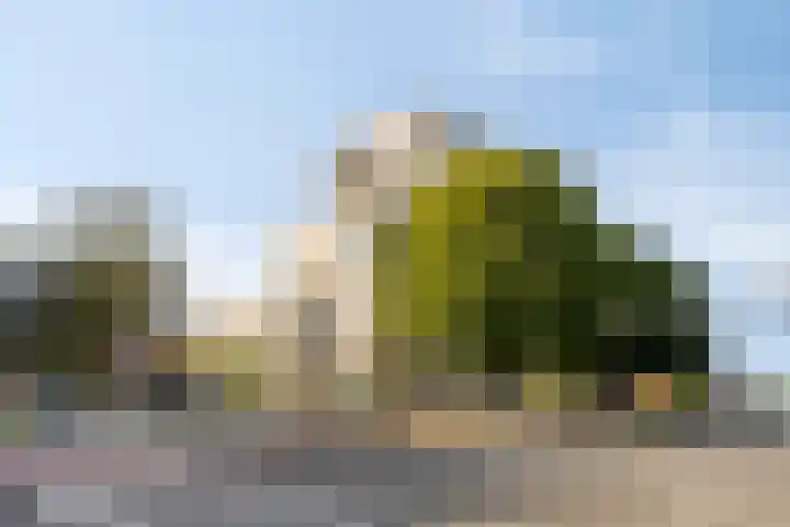 Hugo de Grootplein 75 Eindhoven thumbnail 35