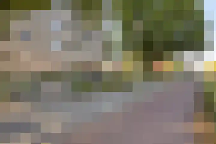 Hugo de Grootplein 75 Eindhoven thumbnail 36