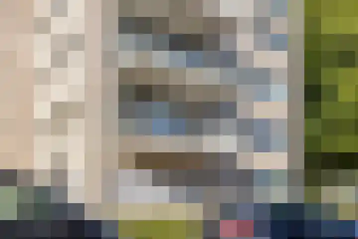 Hugo de Grootplein 75 Eindhoven thumbnail 40