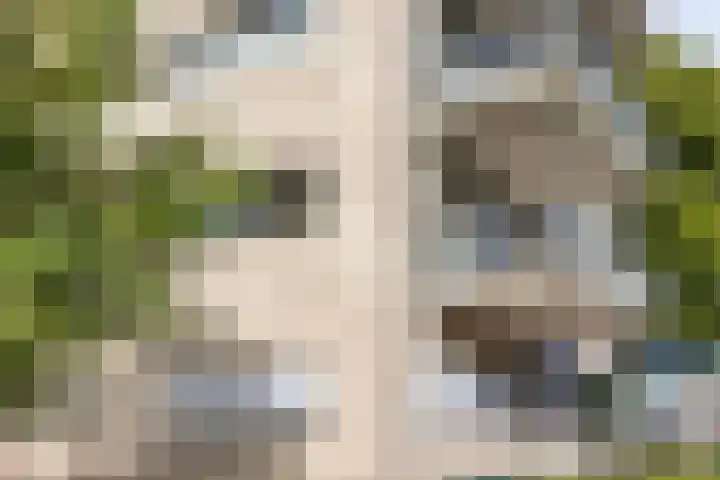 Hugo de Grootplein 75 Eindhoven thumbnail 41