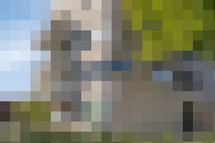 Hugo de Grootplein 75 Eindhoven thumbnail 42
