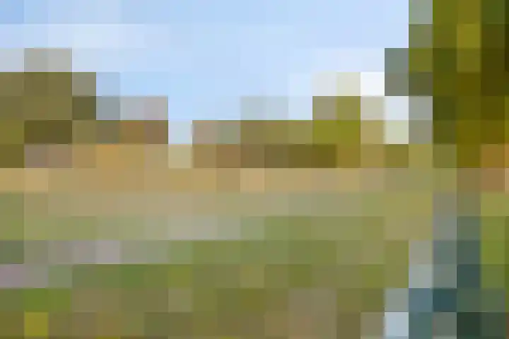 Hugo de Grootplein 75 Eindhoven thumbnail 43