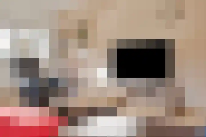 Hugo de Grootplein 75 Eindhoven thumbnail 5