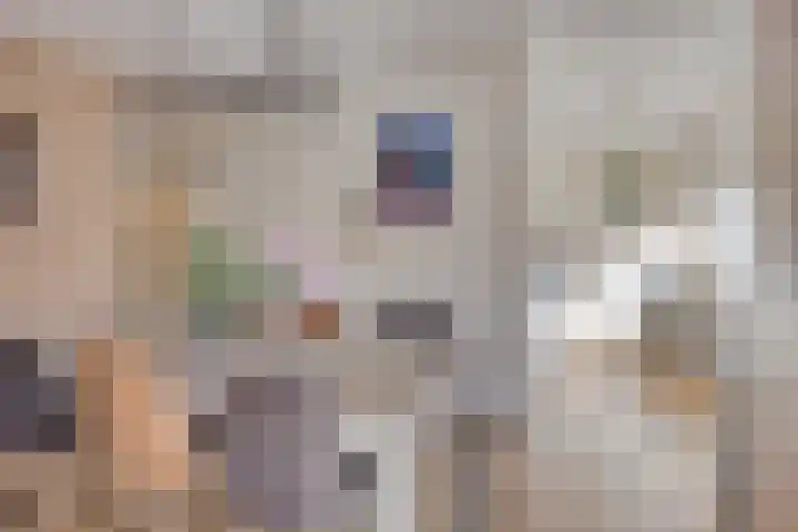 Hugo de Grootplein 75 Eindhoven thumbnail 9