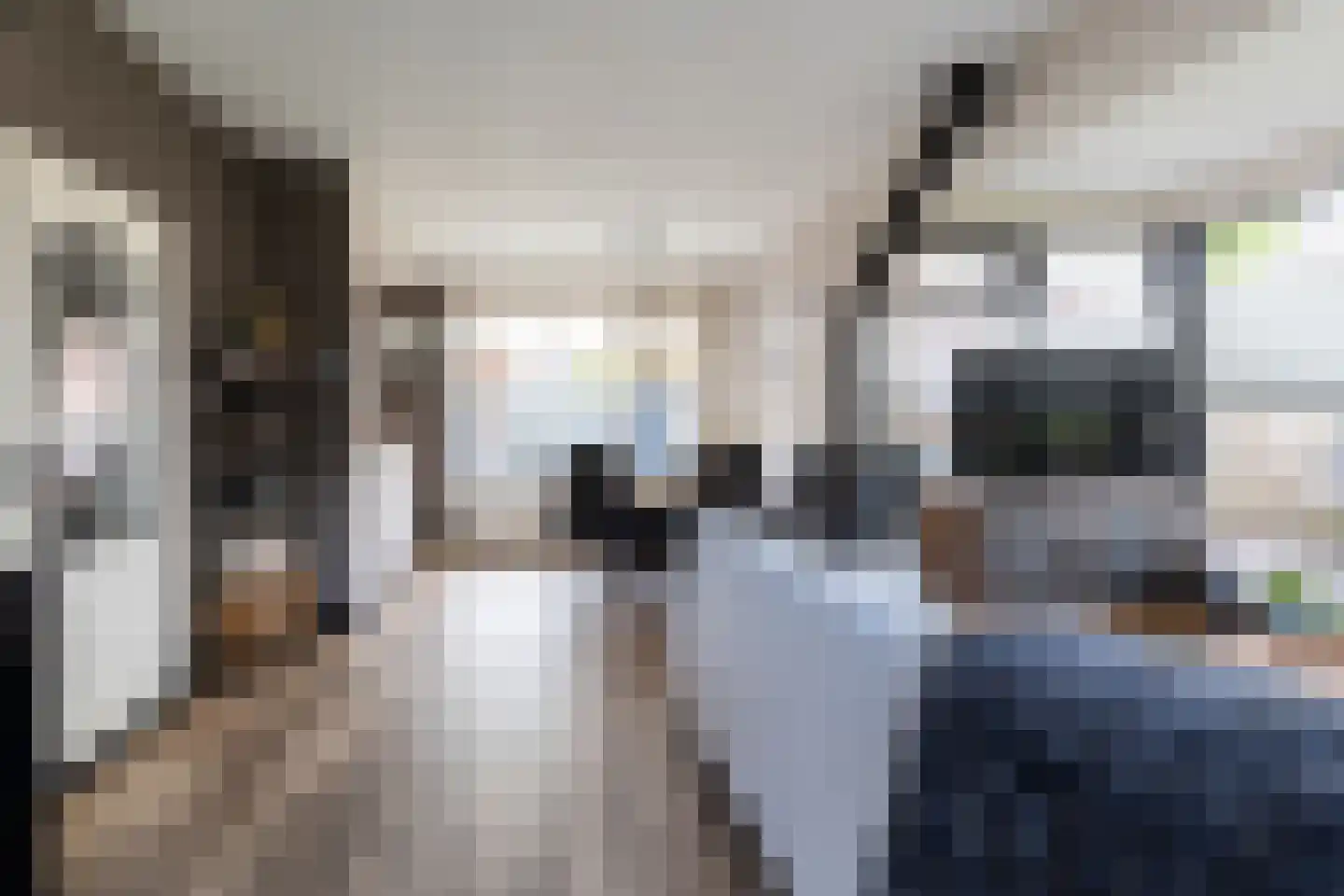 Hugo de Grootsingel 16 Bovenkarspel thumbnail 10