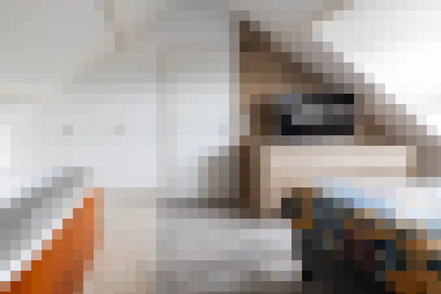 Hugo de Grootsingel 16 Bovenkarspel thumbnail 40