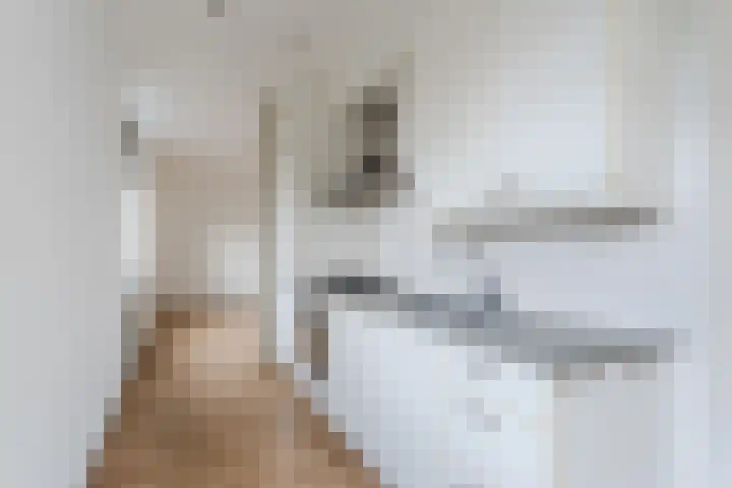 Hugo de Grootsingel 3 Huizen thumbnail 19