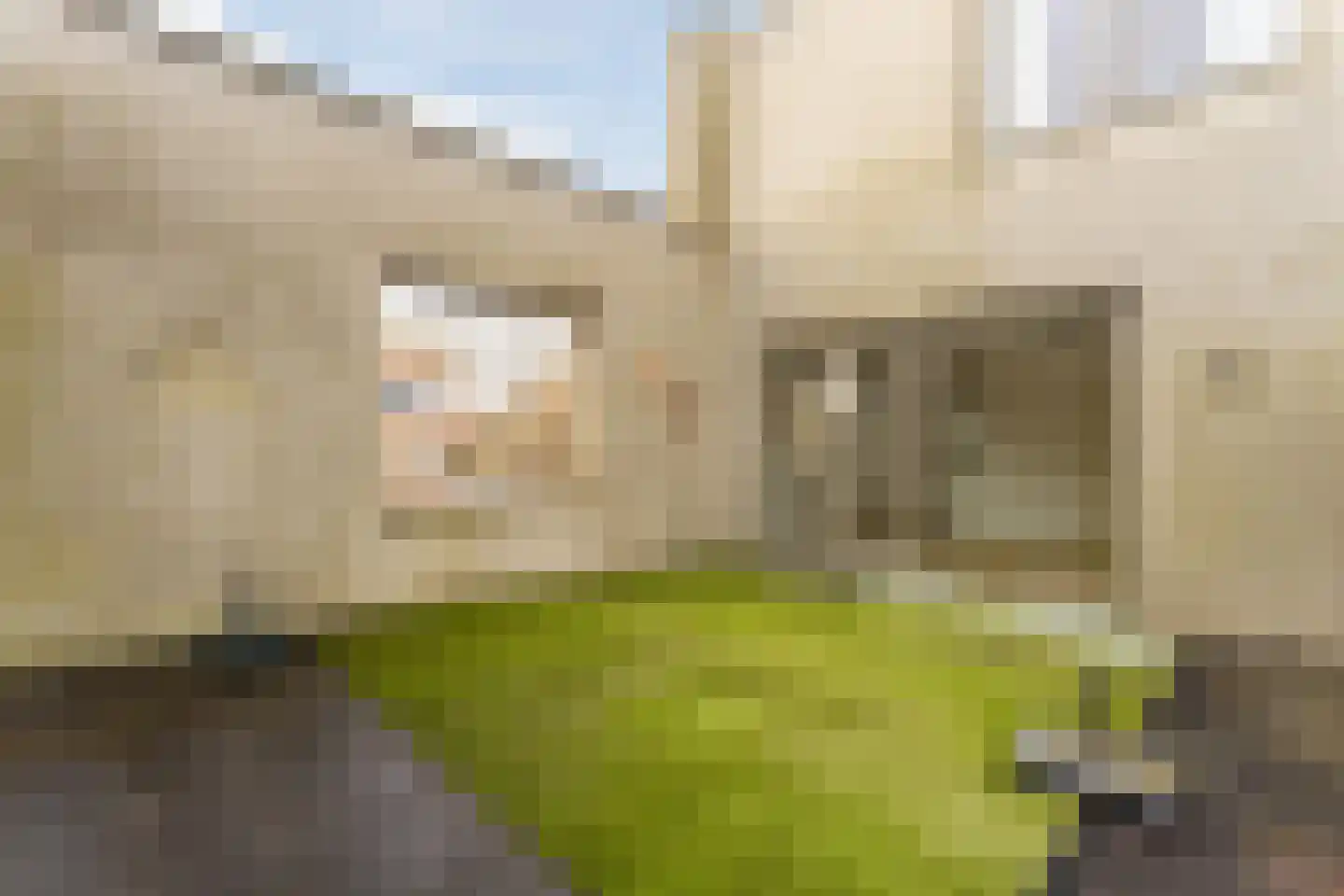 Hugo de Grootsingel 3 Huizen thumbnail 25