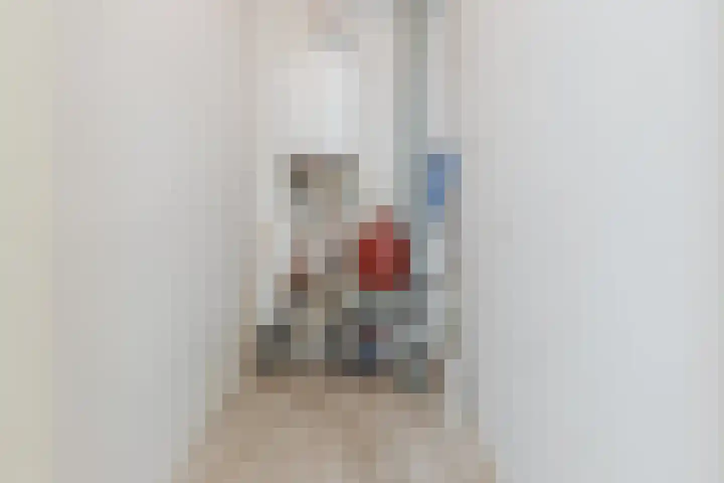 Hugo de Grootsingel 3 Huizen thumbnail 32