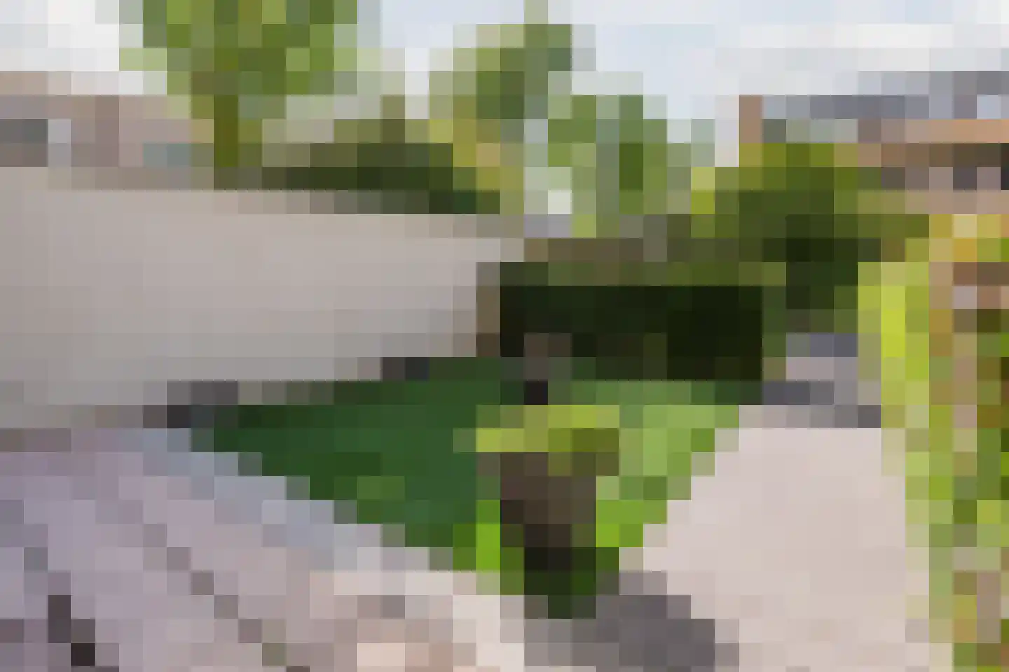 Hugo de Grootsingel 3 Huizen thumbnail 4