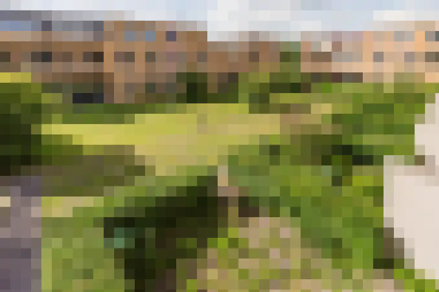 Hugo de Grootsingel 3 Huizen thumbnail 40