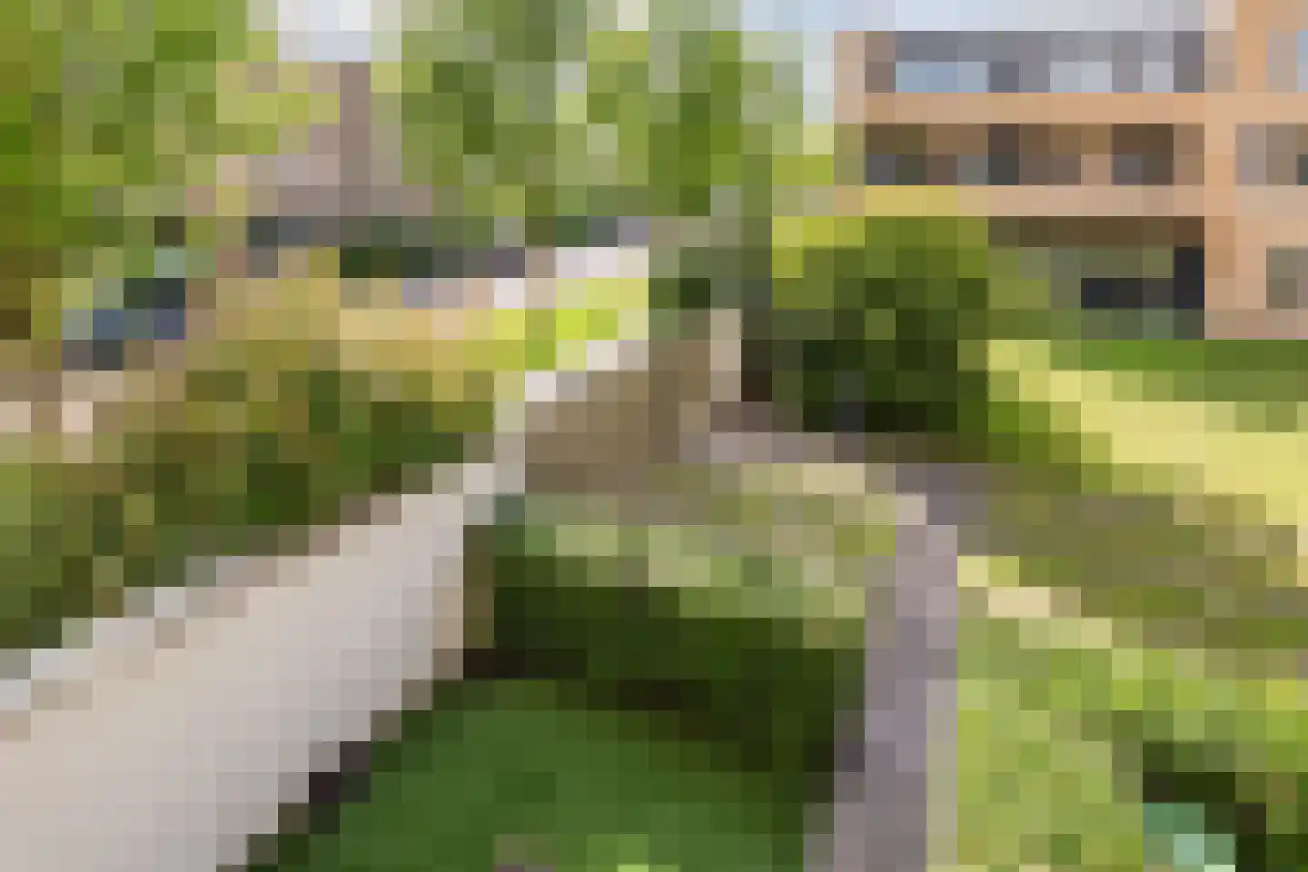 Hugo de Grootsingel 3 Huizen thumbnail 41