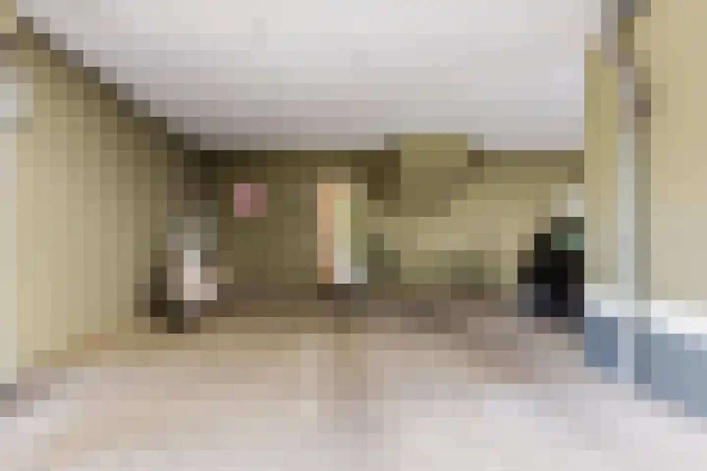 Hugo de Grootsingel 3 Huizen thumbnail 46