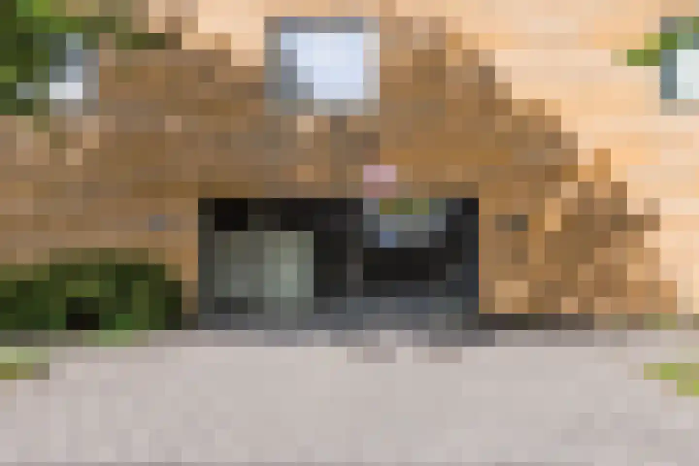 Hugo de Grootsingel 3 Huizen thumbnail 48