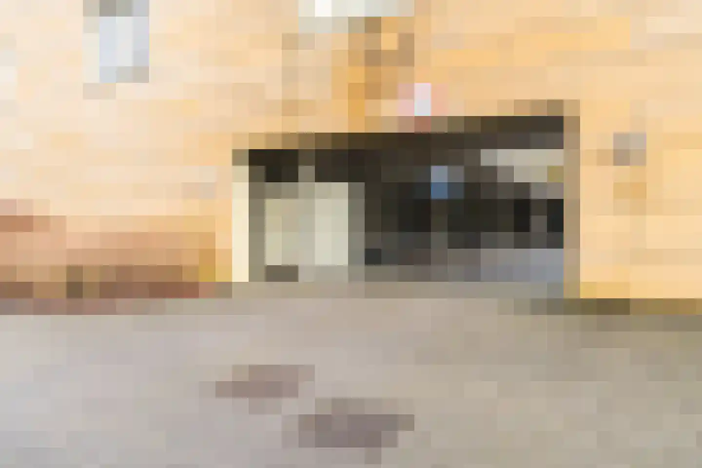 Hugo de Grootsingel 3 Huizen thumbnail 49