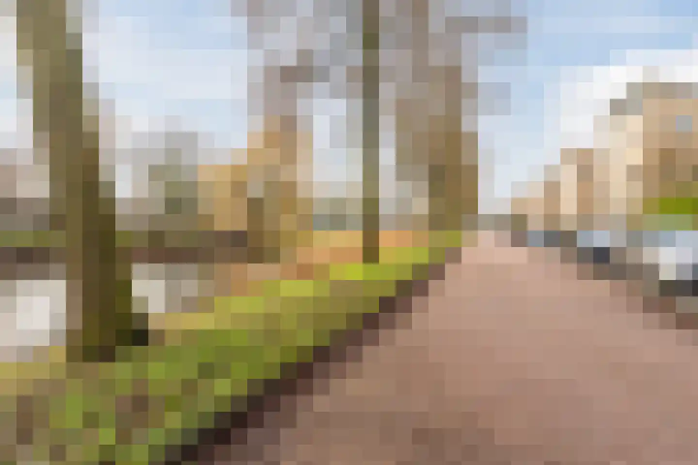 Hugo de Grootsingel 3 Huizen thumbnail 52