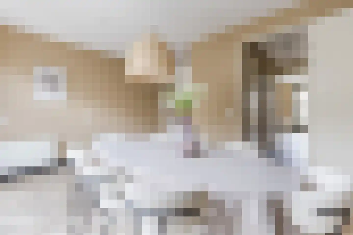 Hugo de Grootsingel 5 Huizen thumbnail 20