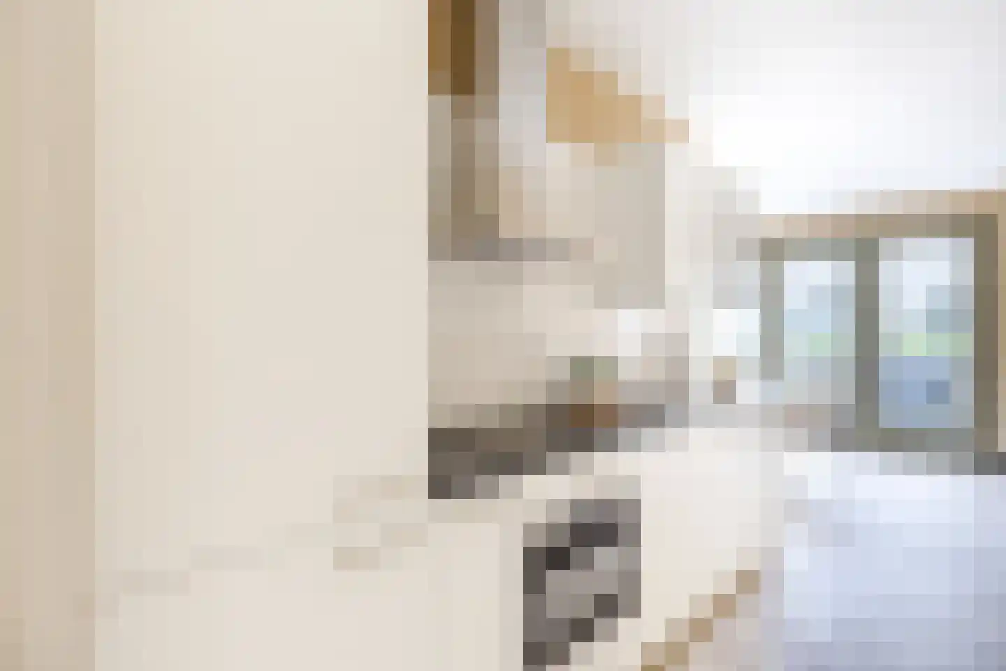 Hugo de Grootsingel 5 Huizen thumbnail 22
