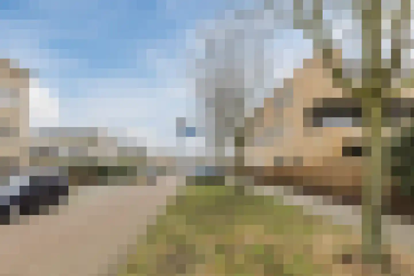 Hugo de Grootsingel 5 Huizen thumbnail 51