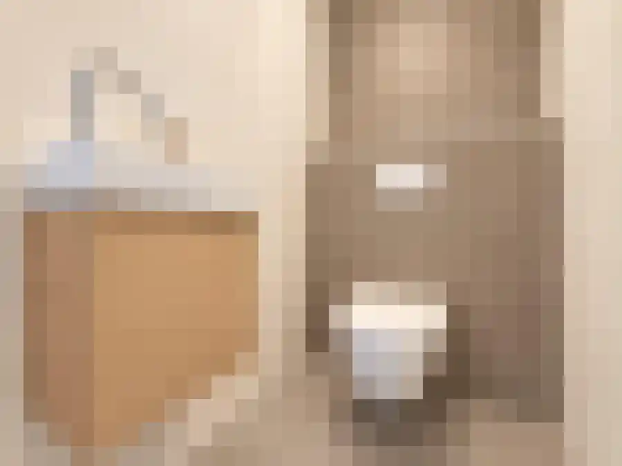 Hugo de Grootsingel Huizen thumbnail 12