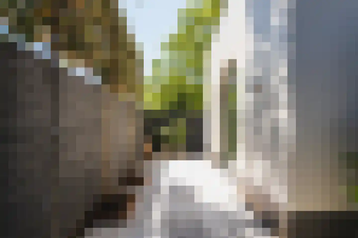 Hugo de Grootstraat 1 A Den Haag thumbnail 26