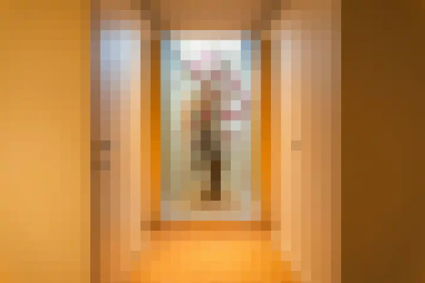 Hugo de Grootstraat 1 C Den Haag thumbnail 29
