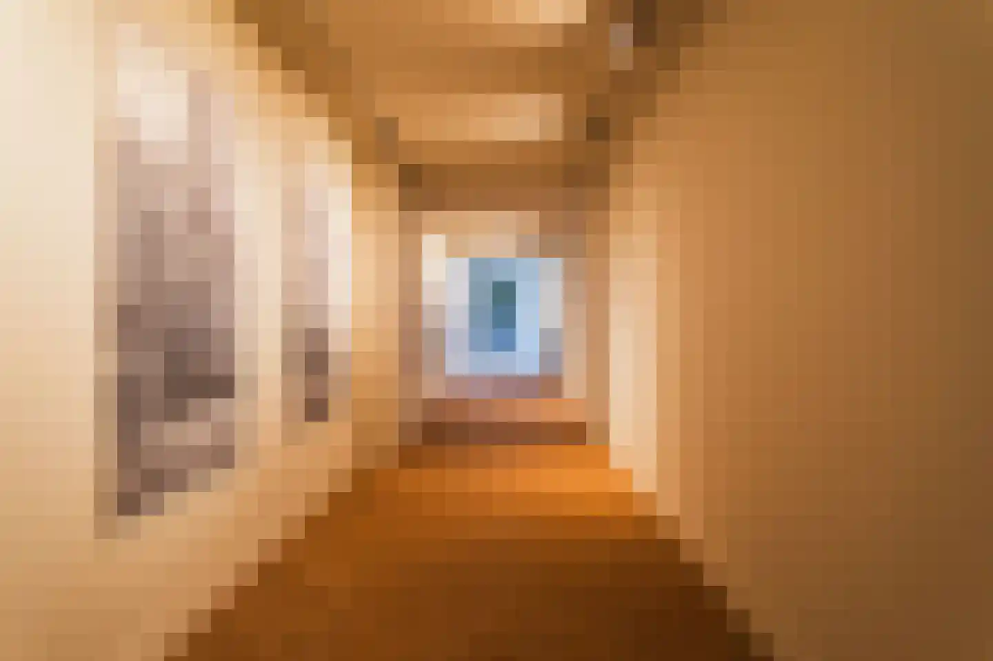 Hugo de Grootstraat 1 C Den Haag thumbnail 39