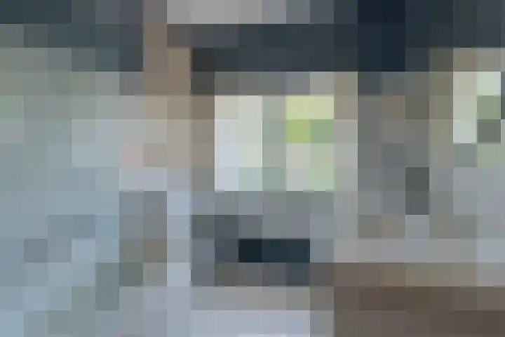 Hugo de Grootstraat 1 Hilversum thumbnail 17