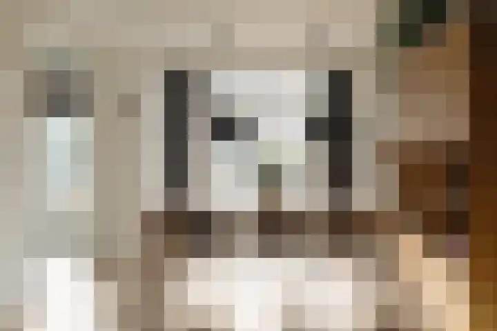 Hugo de Grootstraat 1 Wassenaar thumbnail 13