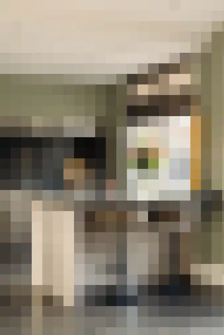 Hugo de Grootstraat 1 Wassenaar thumbnail 15