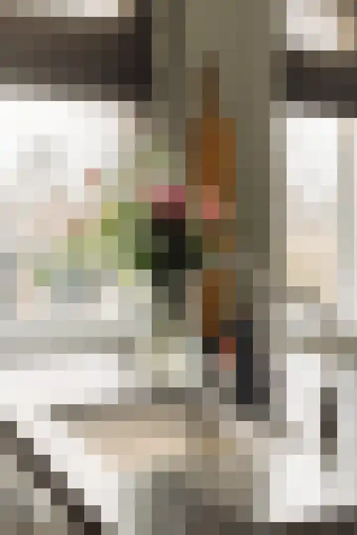 Hugo de Grootstraat 1 Wassenaar thumbnail 16