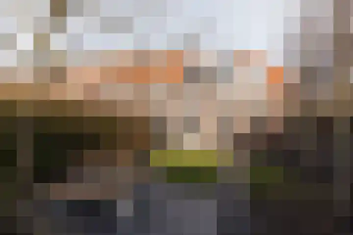 Hugo de Grootstraat 1 Wassenaar thumbnail 21