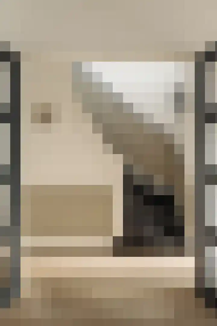 Hugo de Grootstraat 1 Wassenaar thumbnail 22