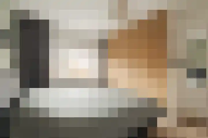 Hugo de Grootstraat 1 Wassenaar thumbnail 24