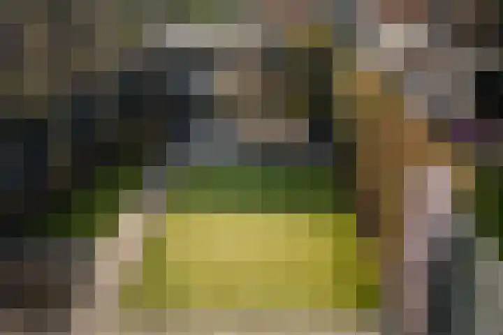 Hugo de Grootstraat 1 Wassenaar thumbnail 31