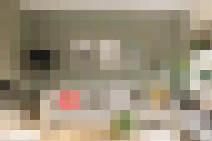 Hugo de Grootstraat 1 Wassenaar thumbnail 8