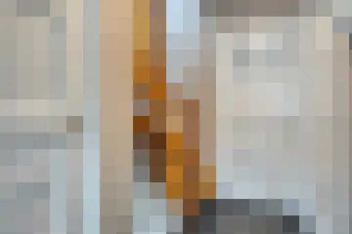Hugo de Grootstraat 10 Arnhem thumbnail 20