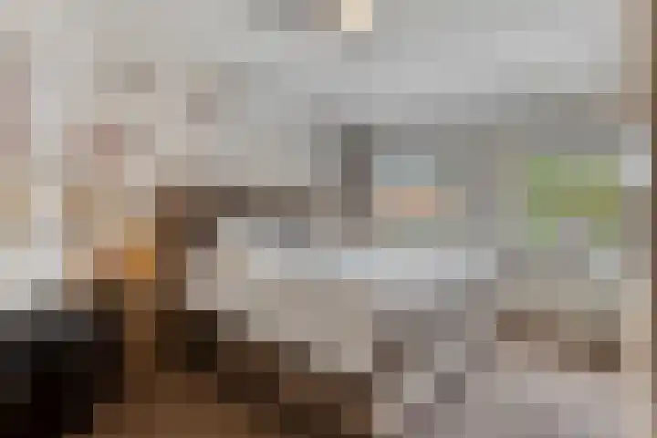 Hugo de Grootstraat 10 Arnhem thumbnail 21