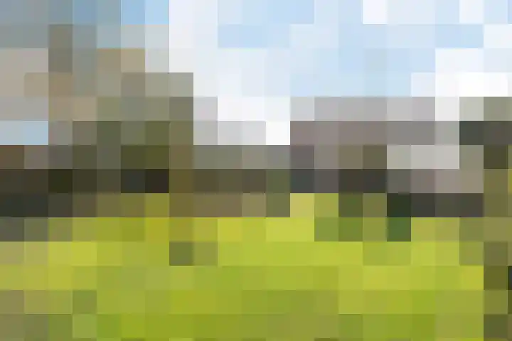 Hugo de Grootstraat 10 Arnhem thumbnail 33