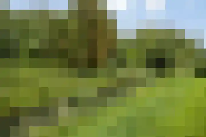 Hugo de Grootstraat 10 Arnhem thumbnail 38