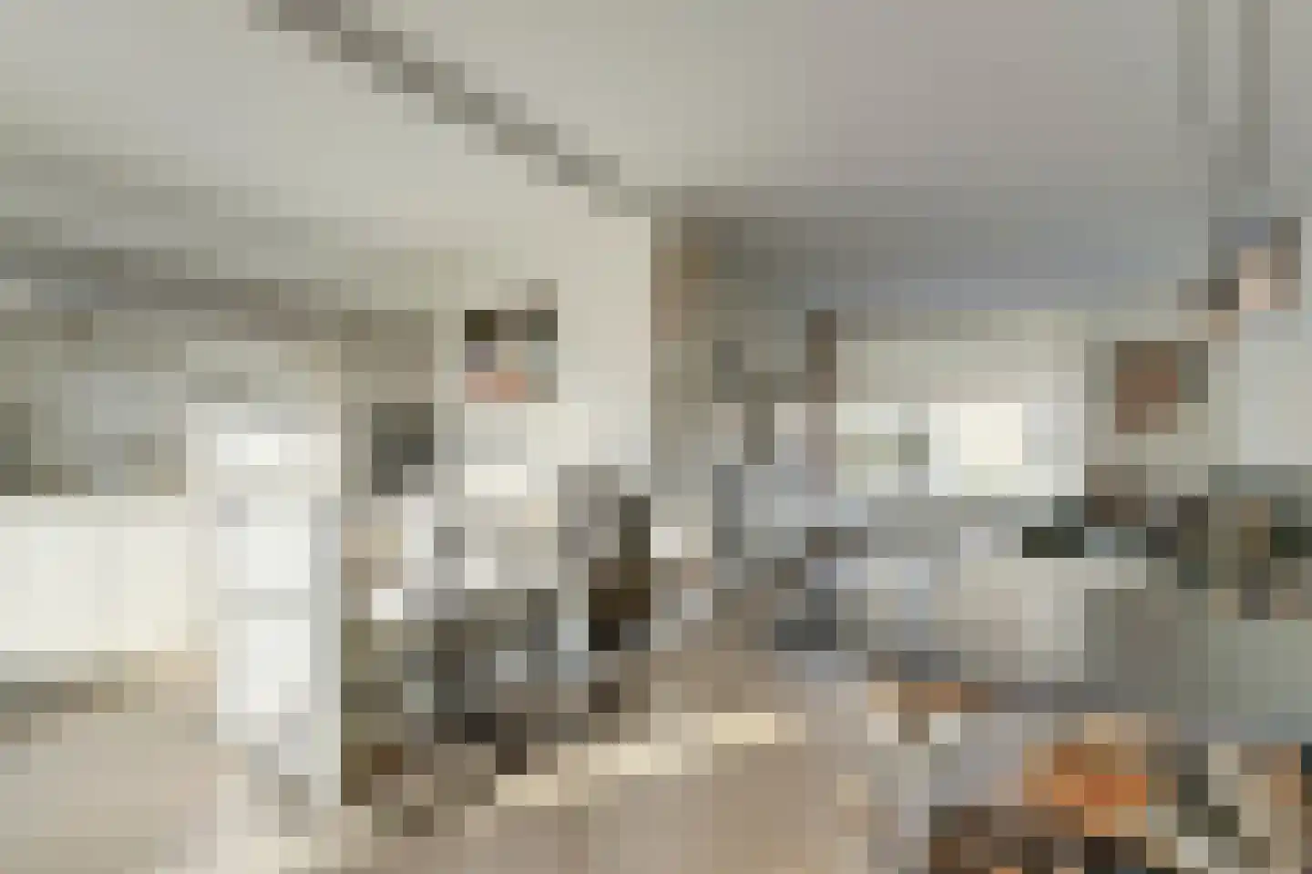 Hugo de Grootstraat 10 Arnhem thumbnail 4