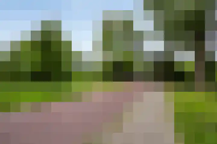 Hugo de Grootstraat 10 Arnhem thumbnail 40